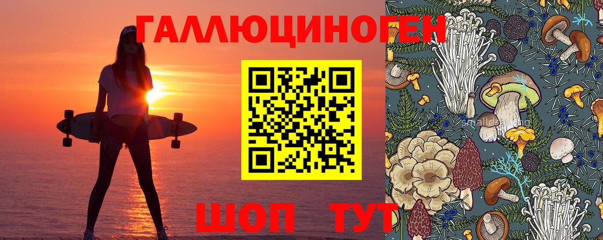 Галлюциногенные грибы GOLDEN TEACHER  Вход с VPN  Барнаул 