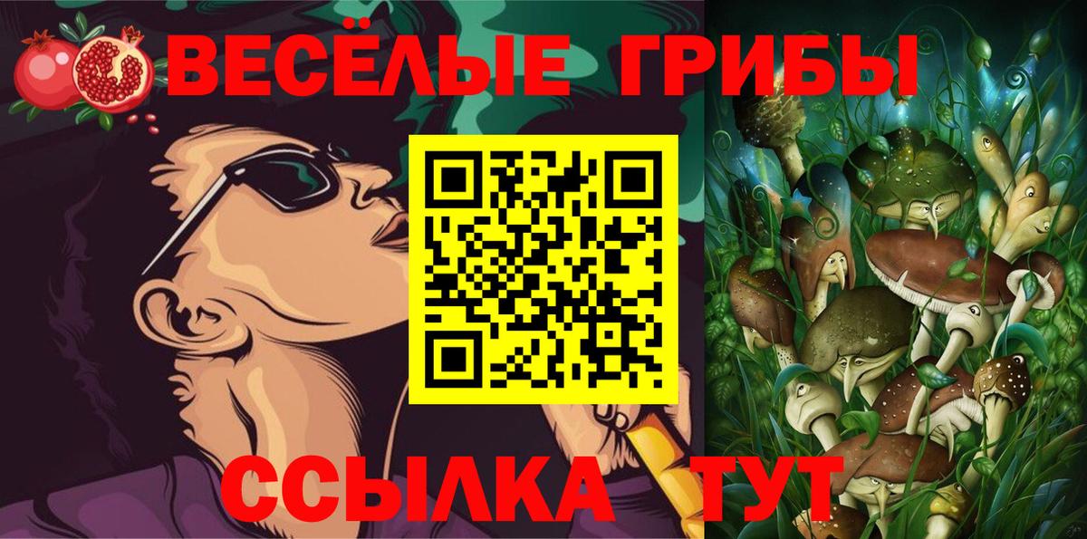 Псилоцибиновые грибы MAGIC MUSHROOMS Барнаул